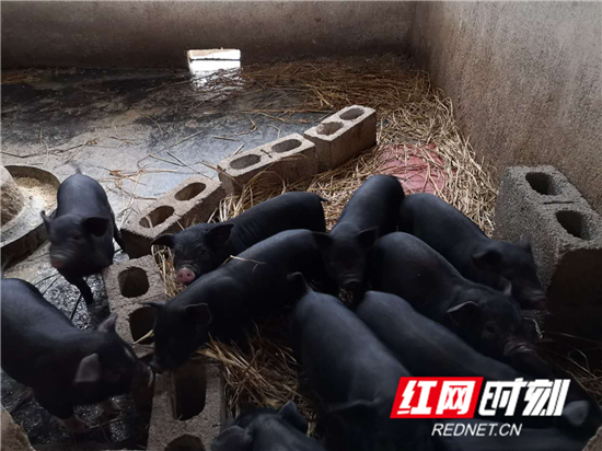 微信图片_20200308142807_副本.jpg