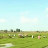 春耕备耕正当时