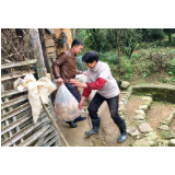 回龙山瑶族乡：消费扶贫暖人心