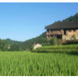 “疫情面前无小我”——社区医护人员朱恒念战疫记