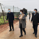 李爱武赴平江县调研春耕生产和脱贫攻坚工作