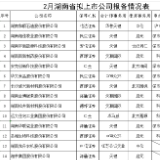 2020年2月湖南省拟上市公司报备情况表