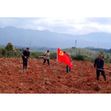 回龙山瑶族乡：绘就支部农场多彩“画卷”