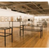 文化和旅游部开展2020年全国美术馆青年策展人扶持计划