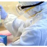 国际社会积极评价中国抗击疫情所做努力