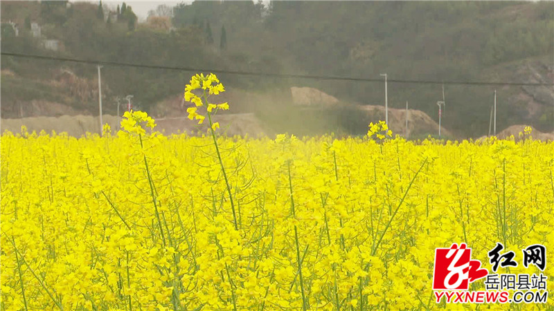 ????_20200309145838.jpg ????_20200309145838.jpg