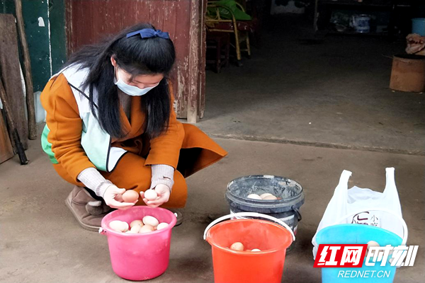 民政4.png 民政4.png