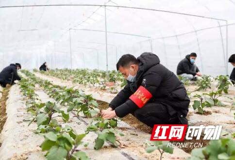 QQ截图20200309152526.jpg QQ截图20200309152526.jpg