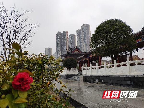 古今皆可赏，春意待折枝.jpg