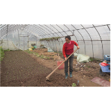 洪江区：送种子送技术 春耕生产助力扶贫