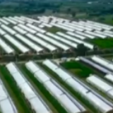 确保脱贫攻坚成效经得起历史和人民检验