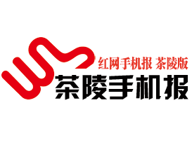 3月10日茶陵手机报