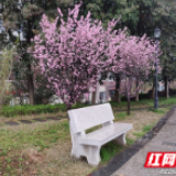 在银城的和风微雨里，资水江畔举步皆景