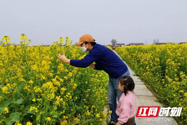 市民赏花。