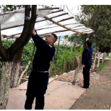 蓝山：疫情防控期间“马路市场”整治再发力