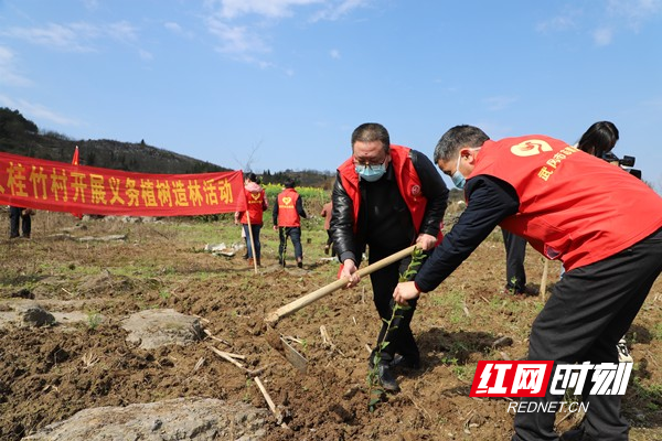 武冈：新绿丛中“一抹红” 战疫农时“两不误”2_副本.jpg