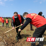 武冈：新绿丛中“一抹红” 战疫农时“两不误”