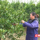 资兴：“线上培训”助力春耕复产