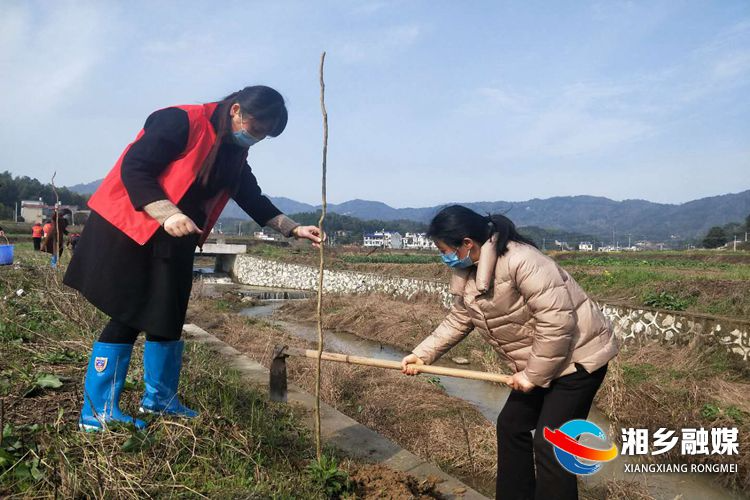 又是一年春光好 湘乡大地植树忙