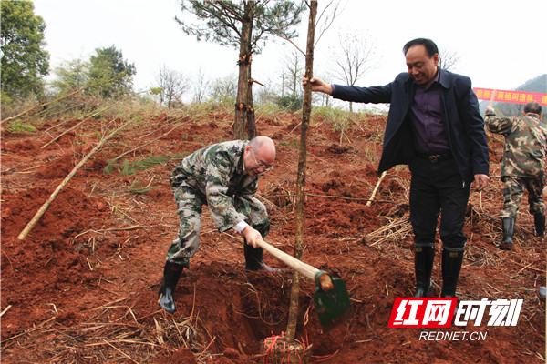 县委副书记、县长张万冬（左一）参加种树活动_副本.jpg