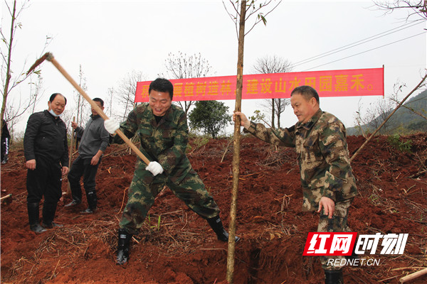 嘉禾县开展义务植树活动 助力国家3A级景区创建