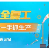 武冈政企合力助菜农渡难关