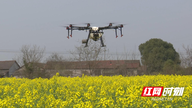 ????202031033309193.jpg ????202031033309193.jpg