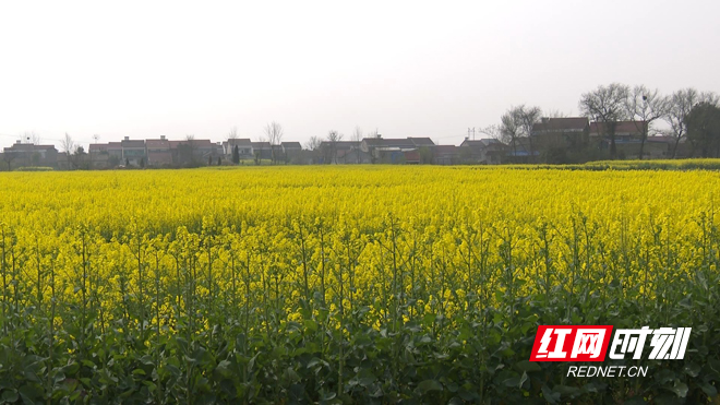 ????202031033127701.jpg ????202031033127701.jpg