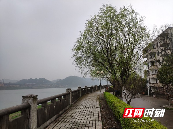 漫步折弯处，垂柳探江水.jpg