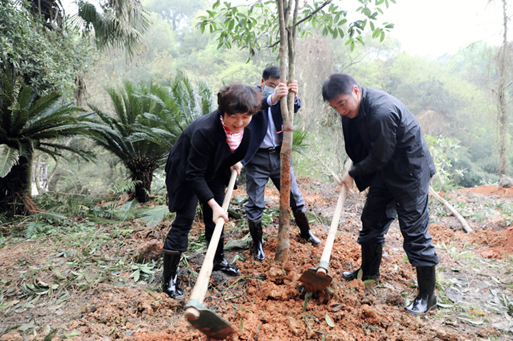 書記植樹1.jpg