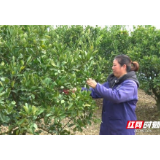信息化助农行动丨资兴：“线上培训”助力春耕复产