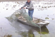 虾农滞留湖北，村民帮忙“代养”小龙虾