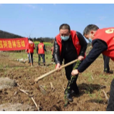 新绿丛中“一抹红” 战疫农时“两不误”