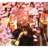 日本新冠肺炎确诊病例增至582例 死亡病例12例