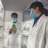 永州职院：助力复耕复产 农业专家为先锋