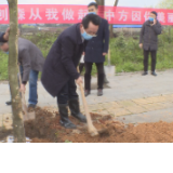 中方县：开展义务植树活动 为城区增添新绿