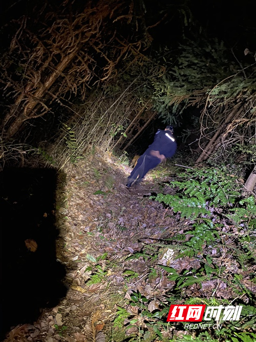 3、民警携警犬在家附近上路上搜寻_副本.jpg