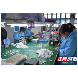 溆浦：生产的是“电子芯”跳动的是“扶贫心”