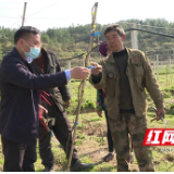 邵阳县：加强科技指导 助力春耕生产