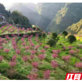 湘西州市场监管局助力洞坎村打造美丽乡村“升级版”