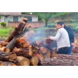资兴林业局：除治清理松材线虫病松树