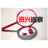 中共资兴市统计局党组关于巡察整改进展情况的通报