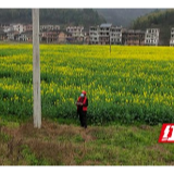 邵阳供电成立“春耕服务队” 田间地头助春耕