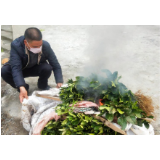 滁口镇：加大柑橘黄龙病防控力度