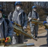 美媒：中国是值得学习的榜样 意大利已借鉴中国方法