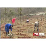 种的不止一棵树，还有一颗敬畏心