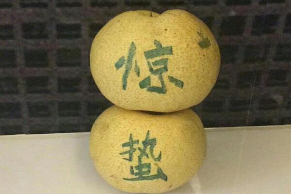 0311红网 惊蛰-3.jpg
