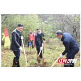 邵阳：为44.6亩山地披上“绿衣” 助推国家森林城市创建