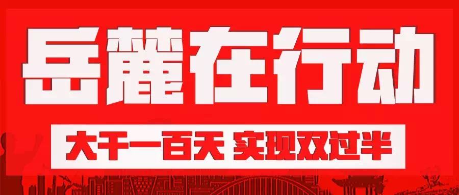 大干一百天  岳麓在行动