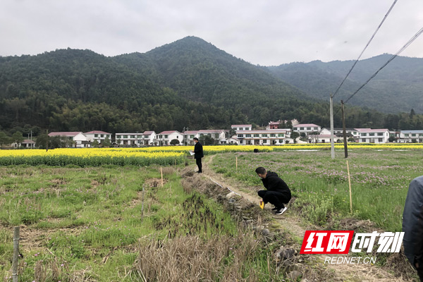 村干部正在进行田间生产道路的测量工作.jpg